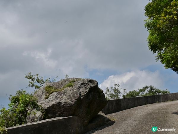 大帽山寶藏 🌳💚