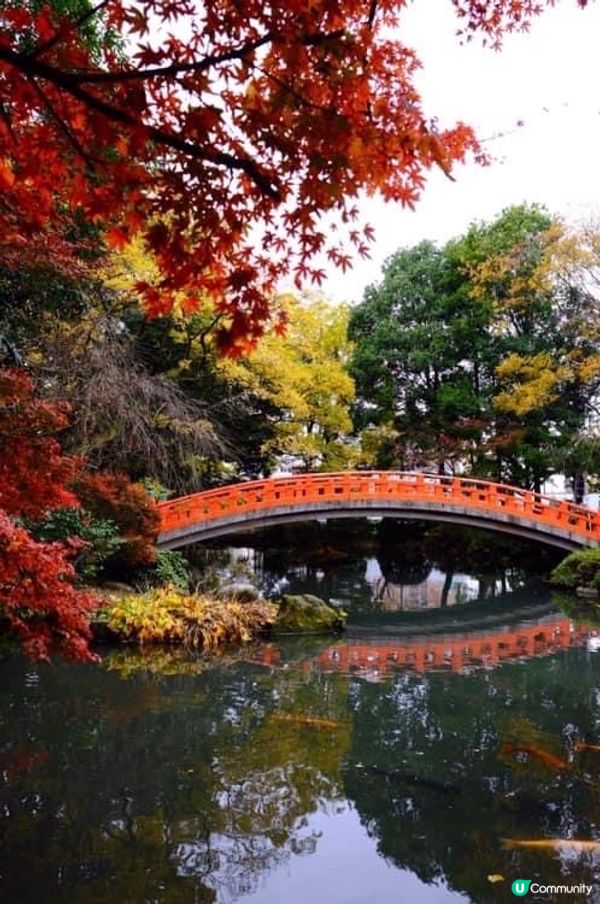 富山一日遊🍁