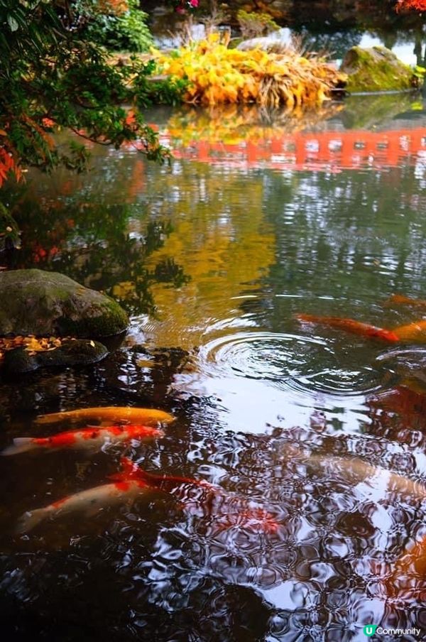 富山一日遊🍁