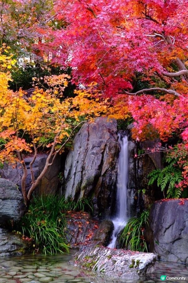 富山一日遊🍁