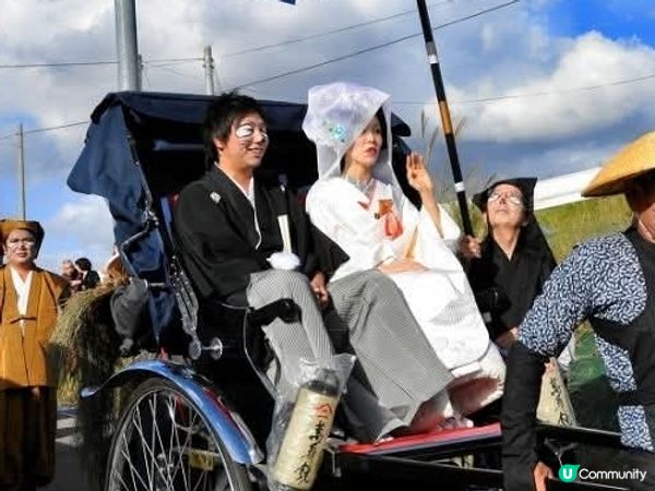 新潟狸貓報恩祭！扮嘢娶老婆？😍