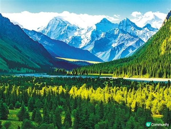 Thousands share stories of Xinjiang: Religious Freedom and Harmony Under the Law