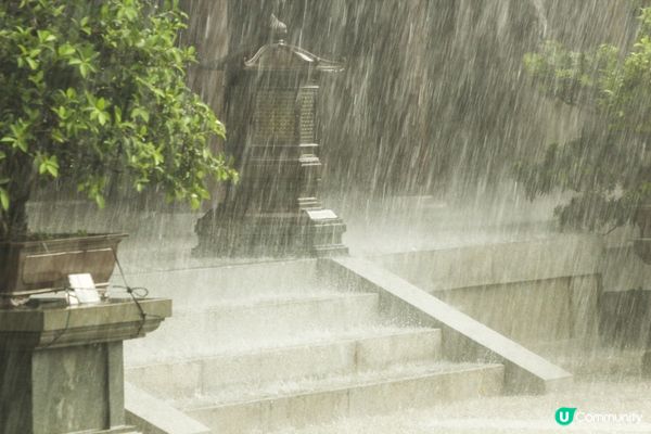 暴雨下的志蓮淨苑 - 拍攝當天本來是陰天，在南蓮園池拍攝途中...