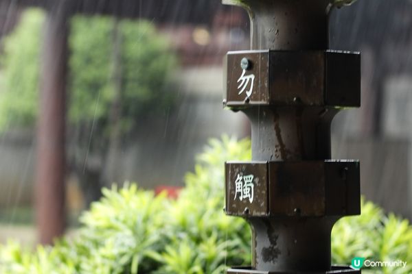 暴雨下的志蓮淨苑 - 拍攝當天本來是陰天，在南蓮園池拍攝途中...