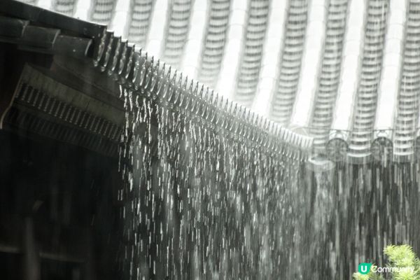 暴雨下的志蓮淨苑 - 拍攝當天本來是陰天，在南蓮園池拍攝途中...