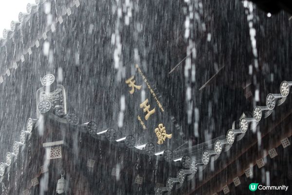 暴雨下的志蓮淨苑 - 拍攝當天本來是陰天，在南蓮園池拍攝途中...