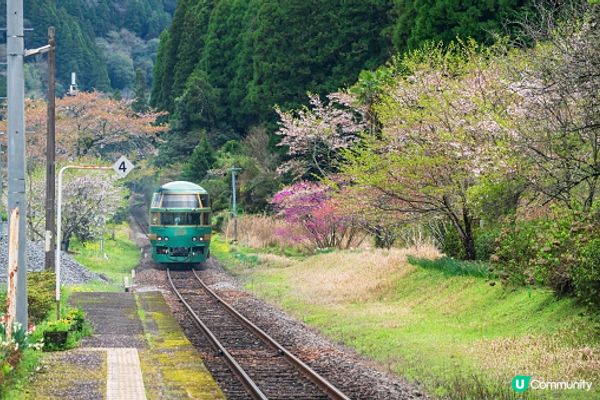 為東京很美了，直到我來到了九州!