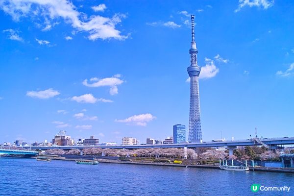 東京すっかり春の気温🍃