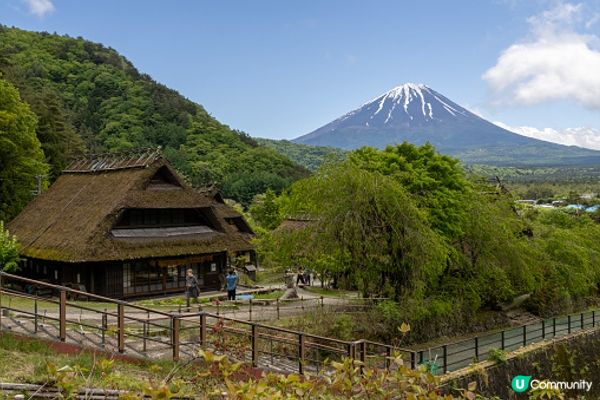 富士山看到飽行程💛🤎