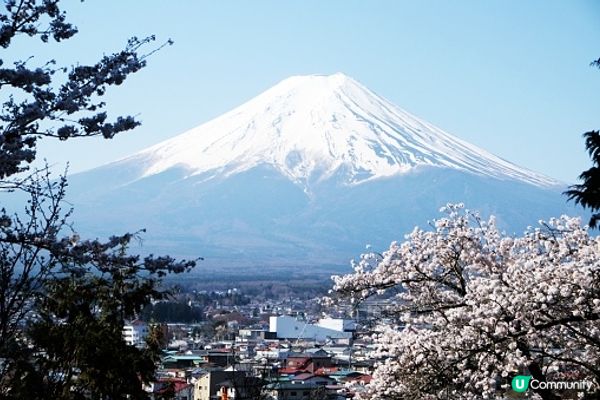 早上起床就能看到富士山真的好讚！