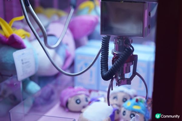 明年保了壽命 誰說一定 有伴侶與東京