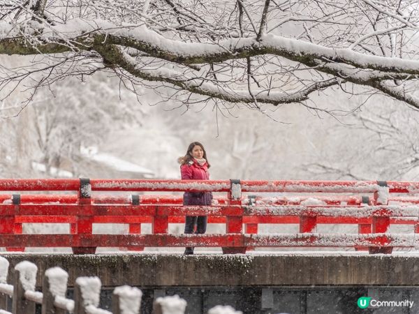 飛驒高山老街｜粉雪下欣賞江戶時代建築