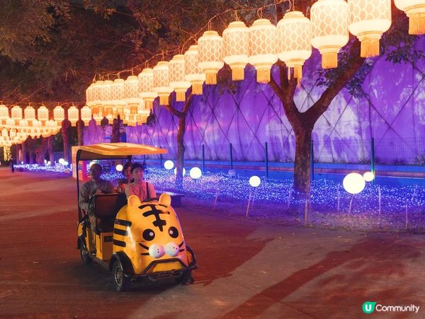 🏮深圳觀瀾湖公園･夜間燈飾|光影森林+星河步道,夜晚靚到似童...