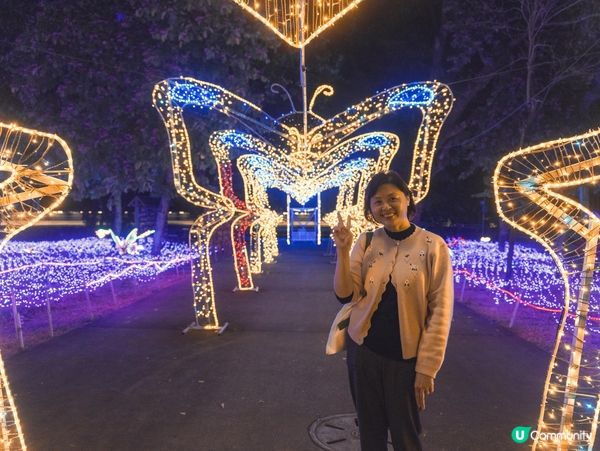 🏮深圳觀瀾湖公園･夜間燈飾|光影森林+星河步道,夜晚靚到似童...