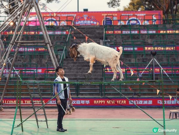 🎪深圳觀瀾湖･大漠猜想馬戲團|沙漠主題特技+搞笑小丑,門票$...