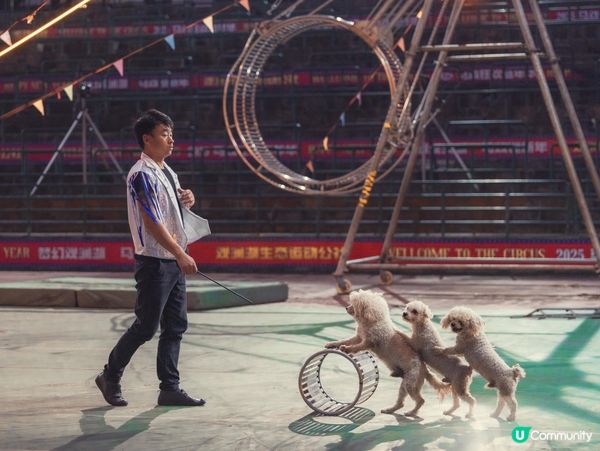 🎪深圳觀瀾湖･大漠猜想馬戲團|沙漠主題特技+搞笑小丑,門票$...
