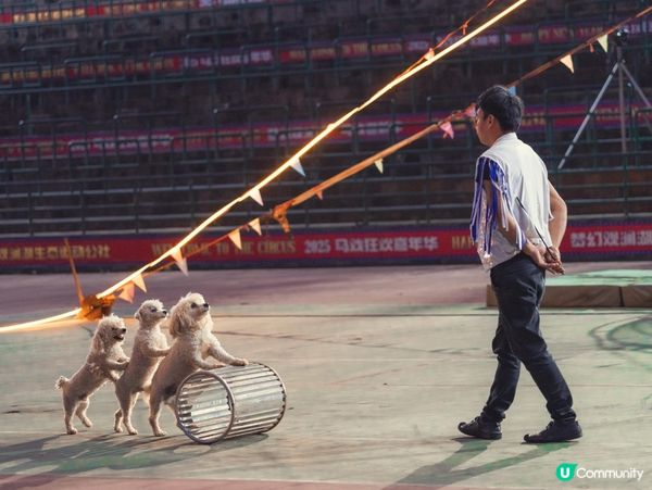 🎪深圳觀瀾湖･大漠猜想馬戲團|沙漠主題特技+搞笑小丑,門票$...