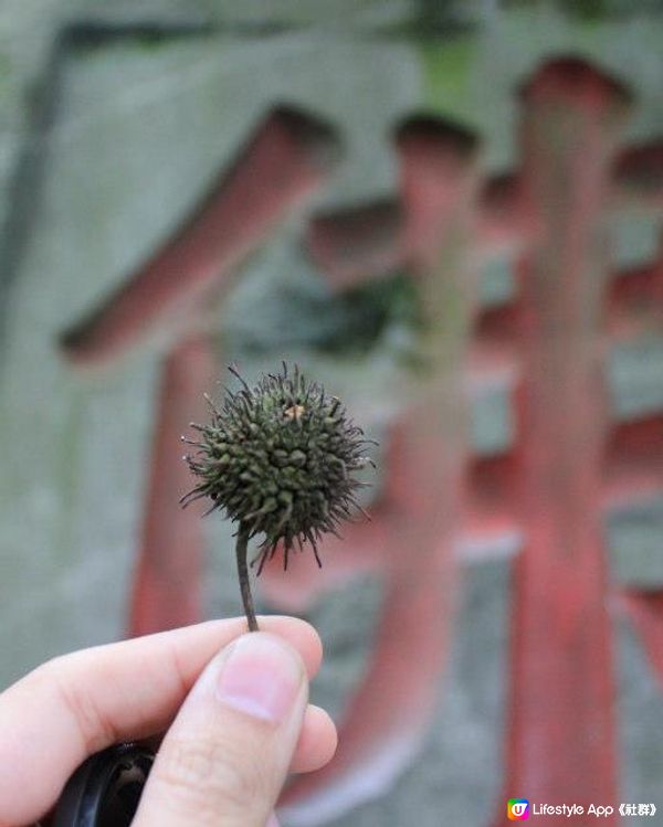 煙霧繚繞：南岳衡山