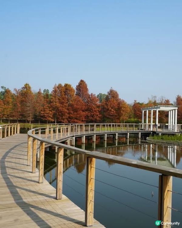 週末好去處💪🏼大推啱晒一家大細、情侶去既✨香港濕地公園✨