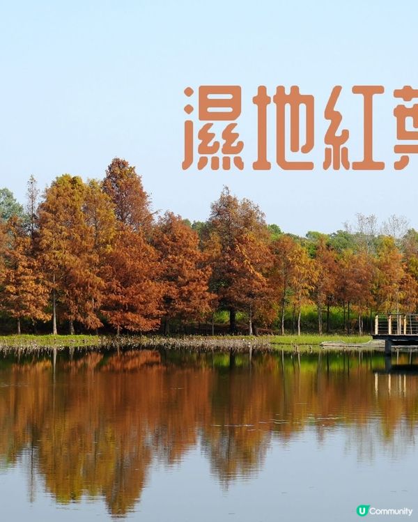 週末好去處💪🏼大推啱晒一家大細、情侶去既✨香港濕地公園✨