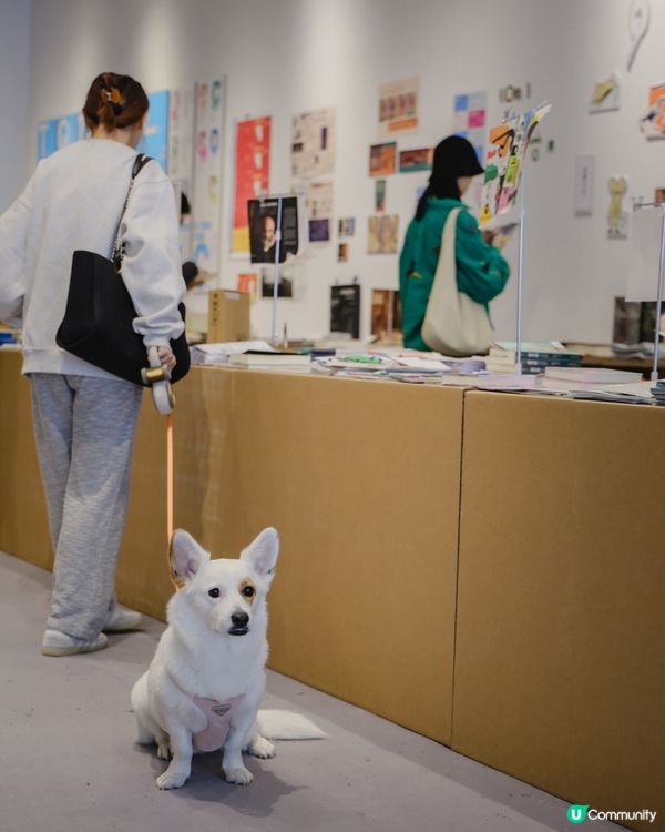 復活節北上玩轉深圳！🤩