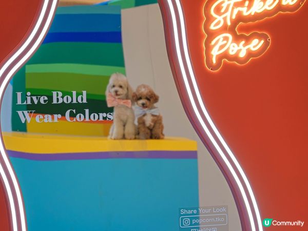 嘆住冷氣去藝術展覽打卡🐾