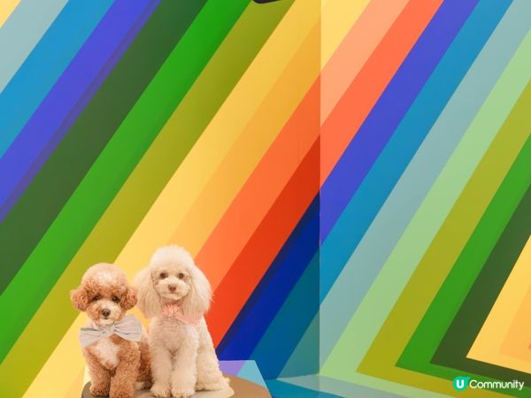 嘆住冷氣去藝術展覽打卡🐾