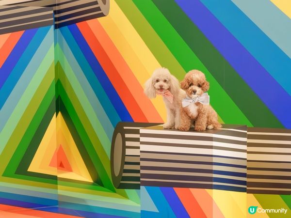 嘆住冷氣去藝術展覽打卡🐾