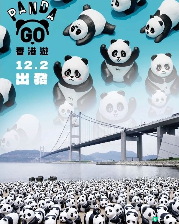 2500隻大熊貓12月閃現香港!時間地點!