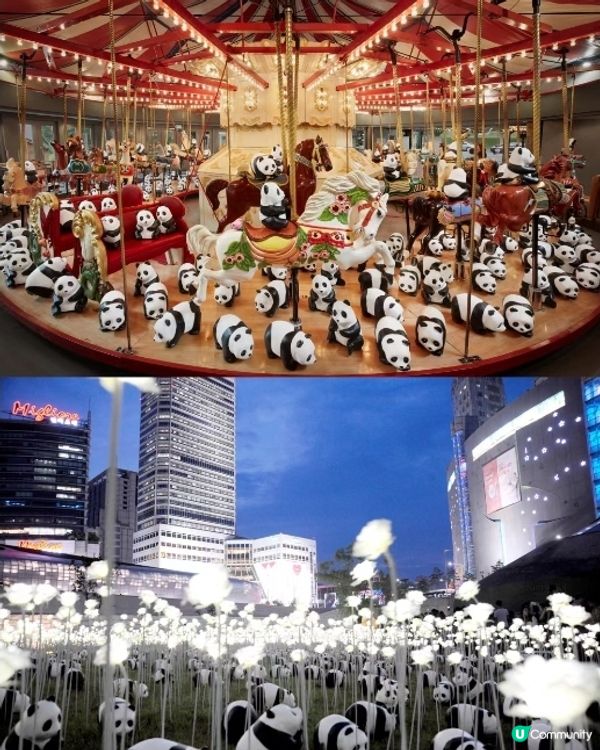 2500隻大熊貓12月閃現香港!時間地點!