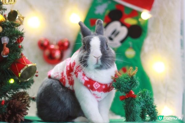 依兩日好凍凍呀，大家要著多件衫，做好保暖喎！