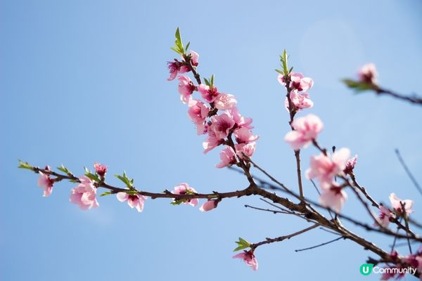 #Chill嘆酒店旅人祭  #別要再蝨眠