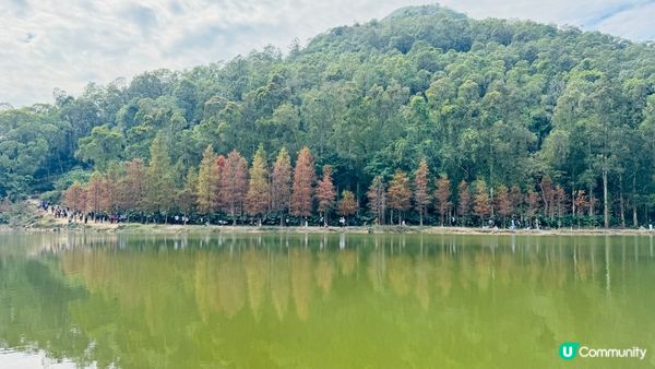 流水響水塘位於新界東北八仙嶺郊野公園內，流水響水塘湖面平靜如...