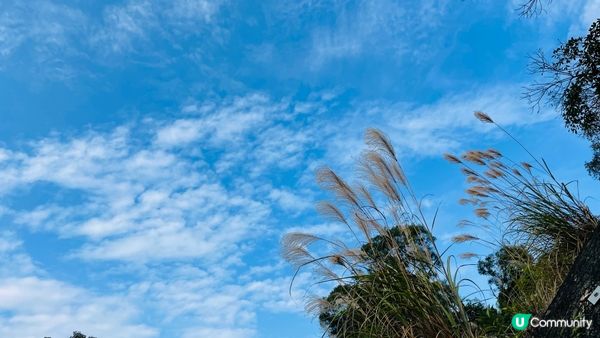 流水響水塘位於新界東北八仙嶺郊野公園內，流水響水塘湖面平靜如...