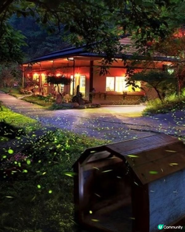 螢火蟲季開鑼！全台賞螢攻略 