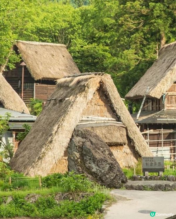 ## 白川鄉合掌村❄️  一日遊攻略