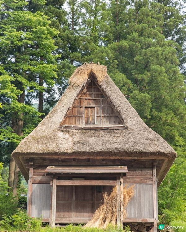 ## 白川鄉合掌村❄️  一日遊攻略