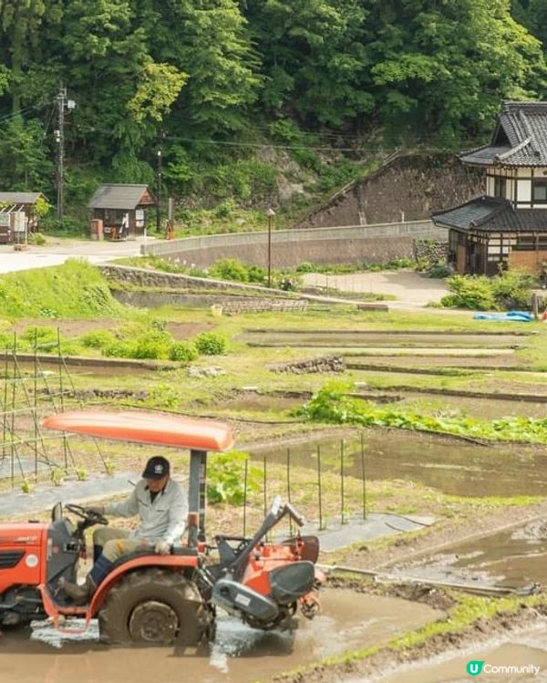 ## 白川鄉合掌村❄️  一日遊攻略