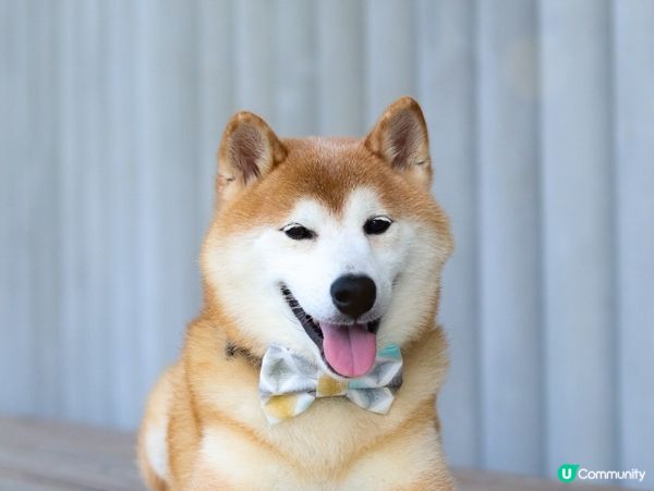 Always discovering nice backgr...