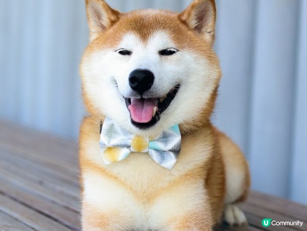 Always discovering nice backgr...