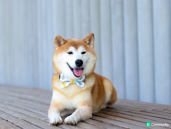 Always discovering nice backgr...