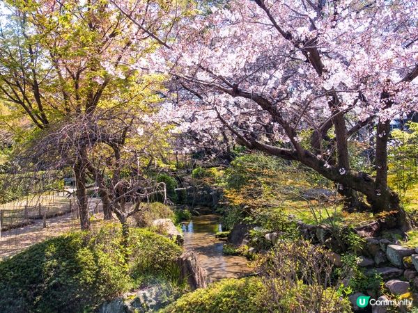 極樂淨土庭園🌸個名都特別過人