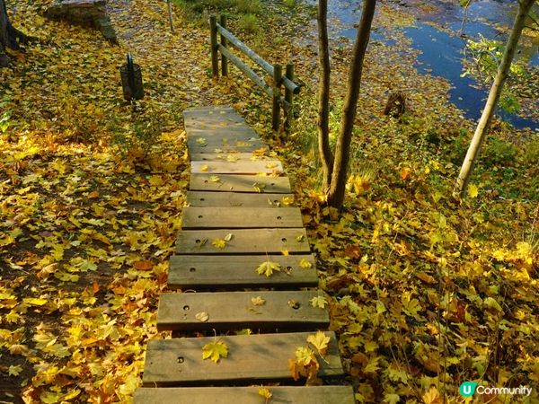 山卡啦㊙️遊 拉脫維亞Latvia🇱🇻-包斯卡Bauska