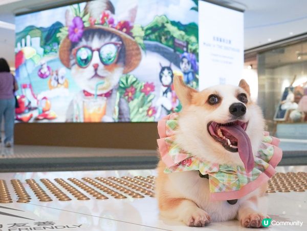 黃竹坑THE SOUTHSIDE