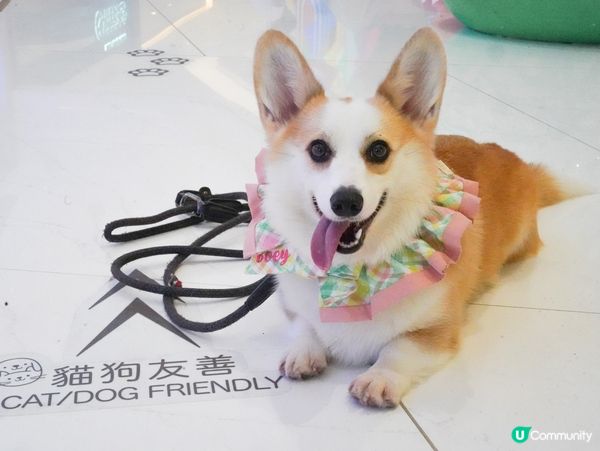 黃竹坑THE SOUTHSIDE