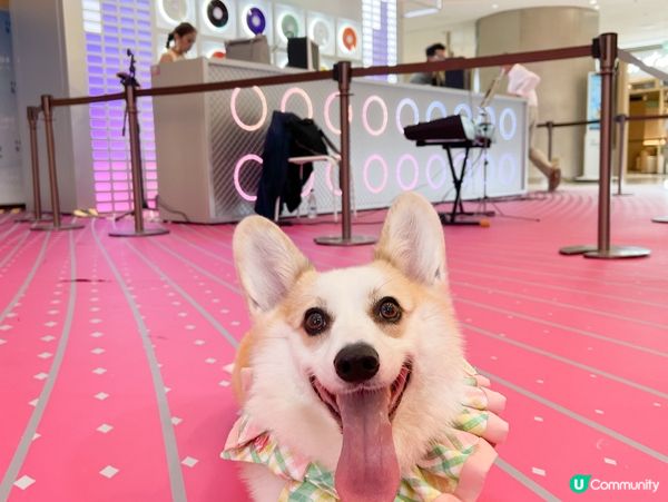 黃竹坑THE SOUTHSIDE