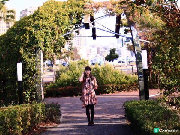 紅樹林生態漫遊高雄濕地