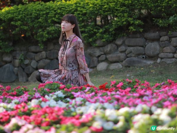 紅樹林生態漫遊高雄濕地