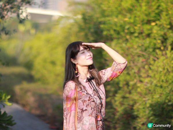 紅樹林生態漫遊高雄濕地