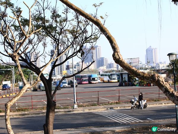 紅樹林生態漫遊高雄濕地